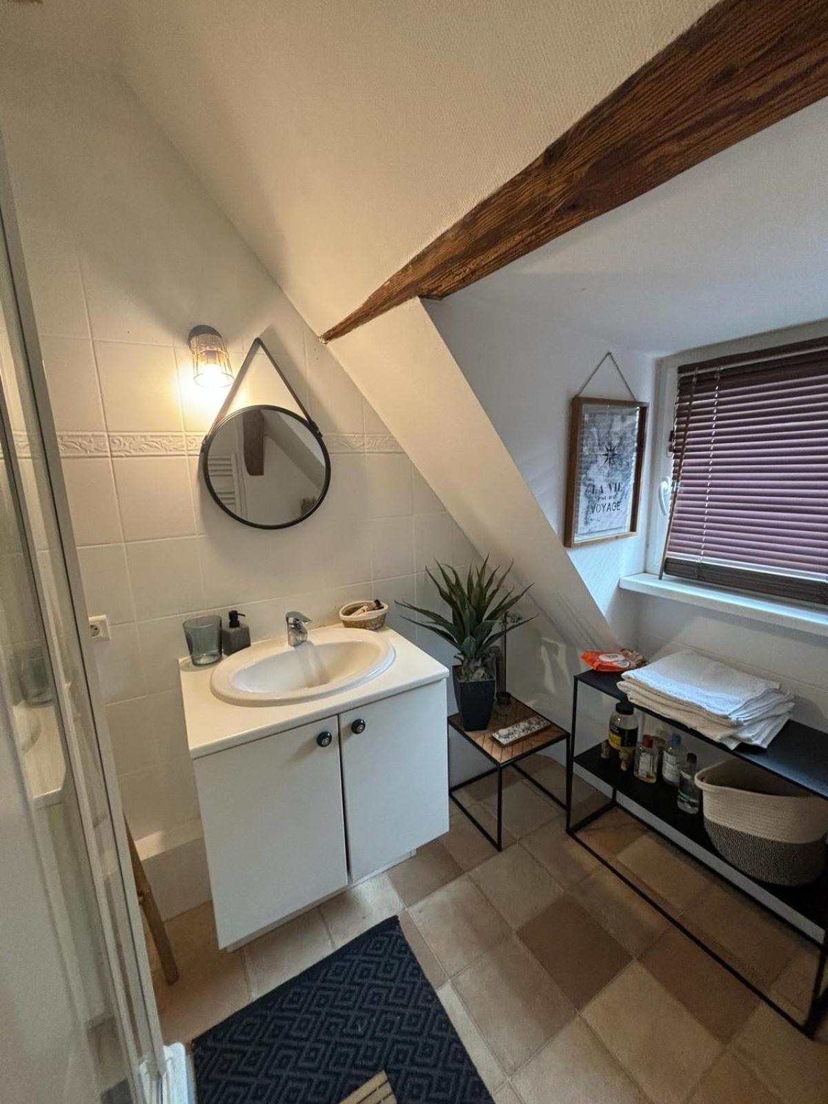 Charmant Appartement Proche Strasbourg A Eckwersheim Extérieur photo