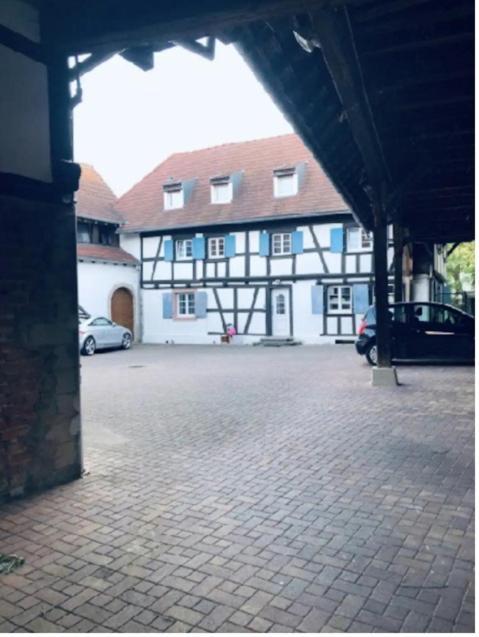 Charmant Appartement Proche Strasbourg A Eckwersheim Extérieur photo